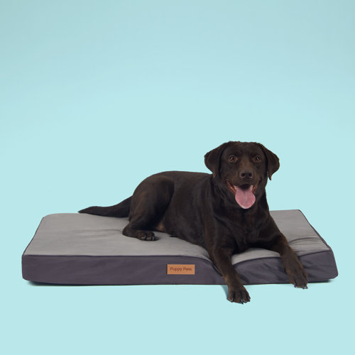 Puppy Paw Orthopedic Memory Foam Classic Dog Pad & Reviews Wayfair